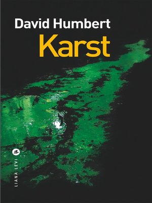 cover image of Karst